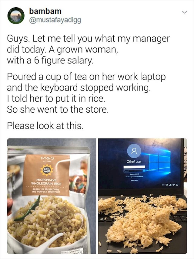 14. Šefica ove žene je prvo prolila čaj po laptopu, a nakon što joj je zaposlenica rekla da ga stavi u rižu ovako je to napravila...