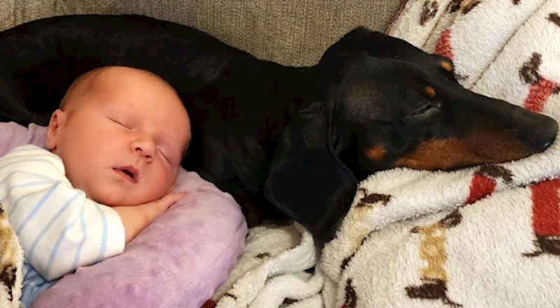 6. "Ma nije realno koliko su slatki!"