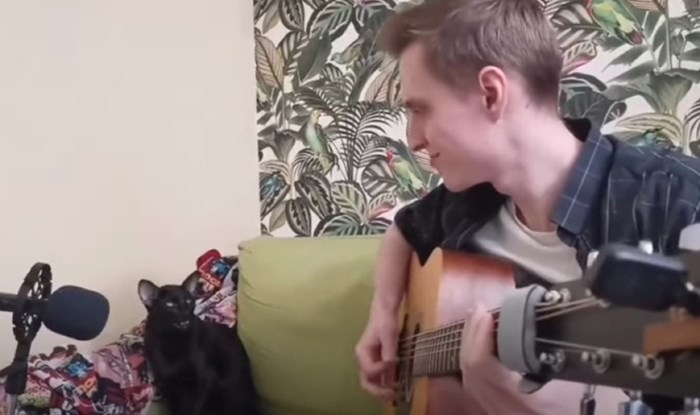 Tip je snimio što njegov mačak radi svaki put kad svira gitaru, snimka će vas oduševiti