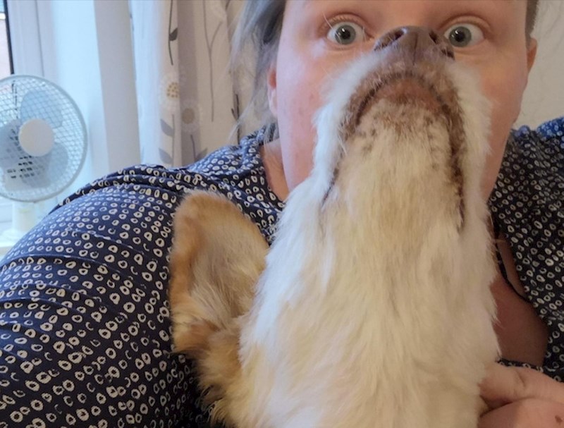 2. "Nisam planirala imati pseći nos, ali što da vam kažem? Tako je ispalo"