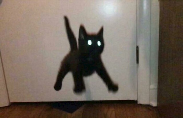 4.