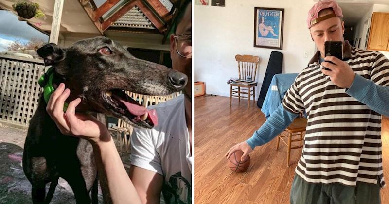 15 foki koje će na prvi pogled zbuniti i namučiti čak i one s najboljim vidom