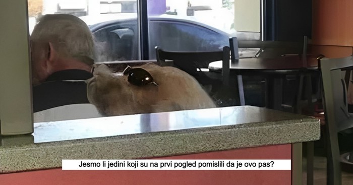 15 intrigantnih prizora koji će vas natjerati da ponovno pogledate što se događa na fotografiji