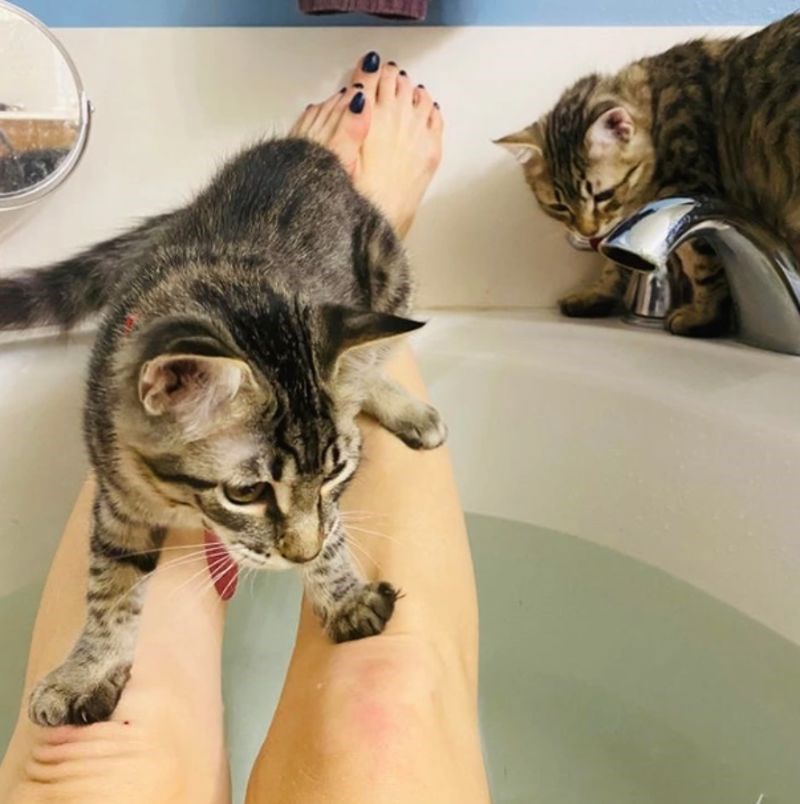 15. "Kad sam htjela opuštajuću kupku, nisam mislila na ovo. 😄"