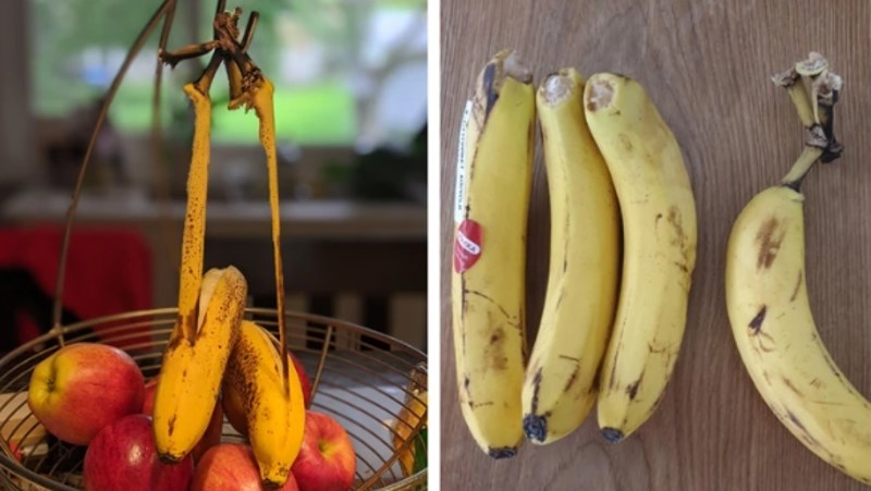 12. "Banane su mi odlučile zagorčati život."