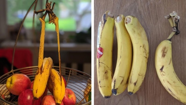 12. "Banane su mi odlučile zagorčati život."