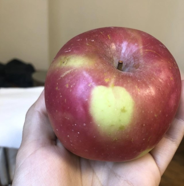 11. Jabuka na jabuci.