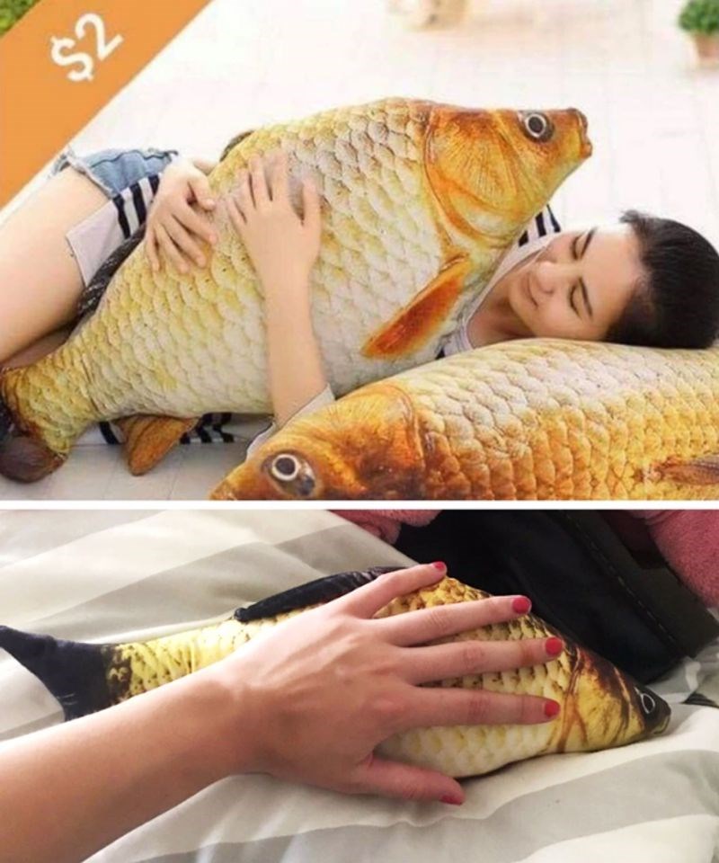 2. "Znali smo da je naručivanje ovog jastuka glupa ideja, ali još su nas i prevarili."