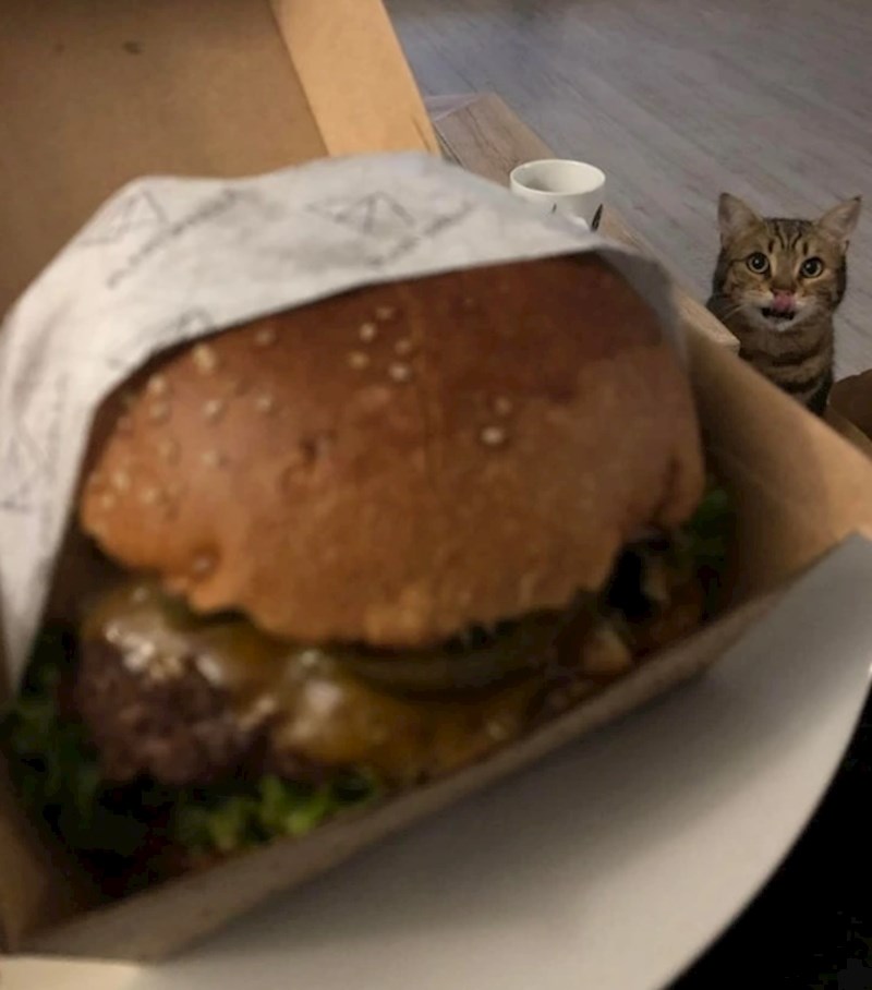 "Koliko bi se tek oblizivao da nije dobio večeru prije nego je meni došla hrana..."