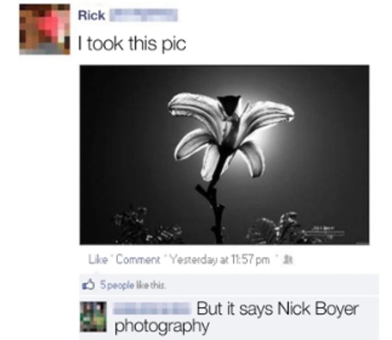 Napisao je da je snimio ovu fotku, a na slici doslovce piše autor (koji nije on!)...