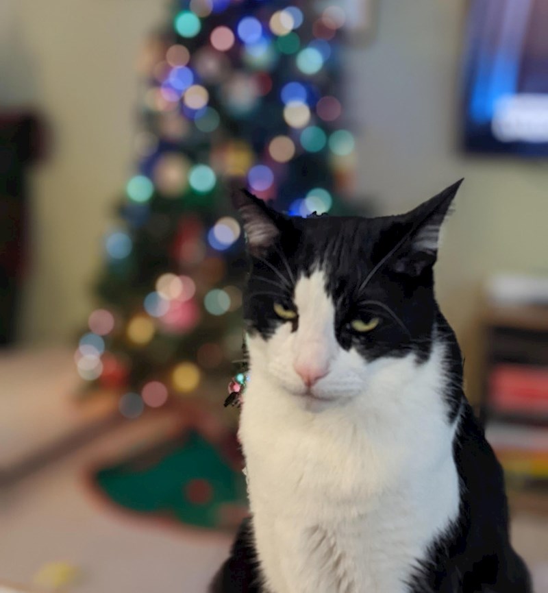 16. Dosta mu je svega i svih 😃