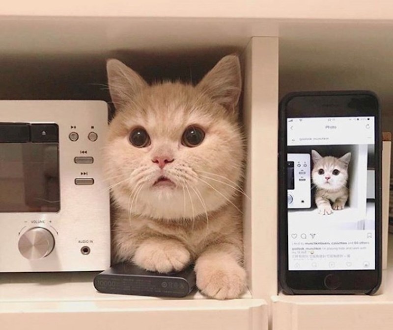 "I nekoliko godina kasnije, ovo je i dalje njezino omiljeno mjesto u kući"