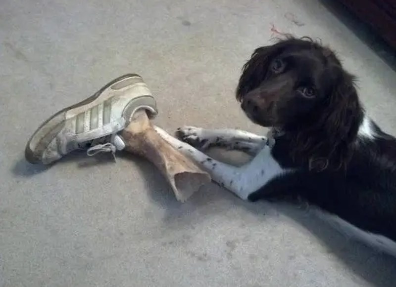 5. "Na trenutak sam pomislila na najgore, a samo je svoju žvakalicu stavio u tenisicu..."