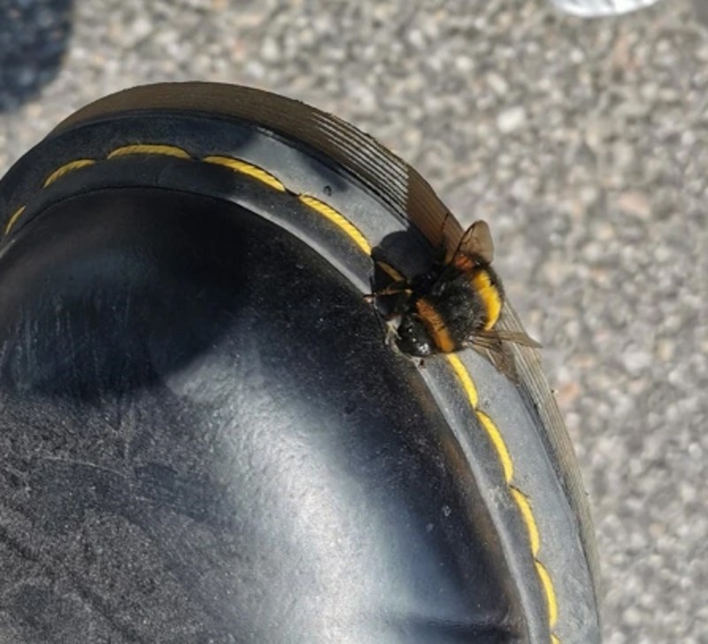 "Najslađe iznenađenje!"