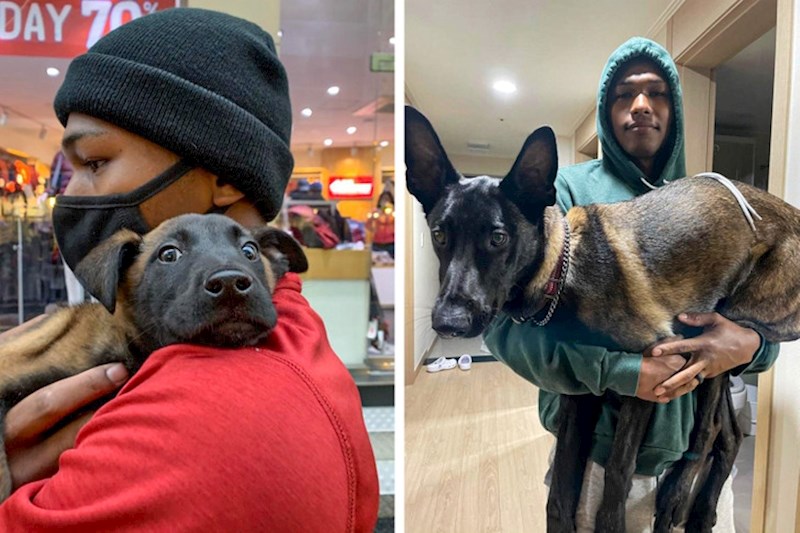 "Vrijeme stvarno prebrzo prolazi"