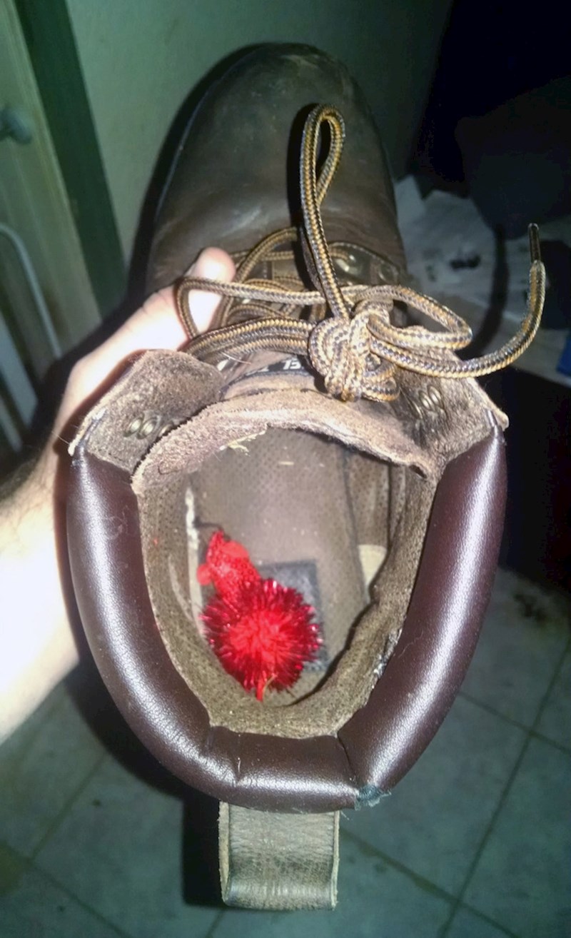 11. Svi koji imaju mačke znaju da se ovakve situacije događaju često