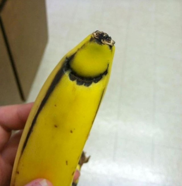 8. "Došao mi je u dućanu i dao ovu bananu pa rekao da mu nije ukusna. Pitam se zašto..."