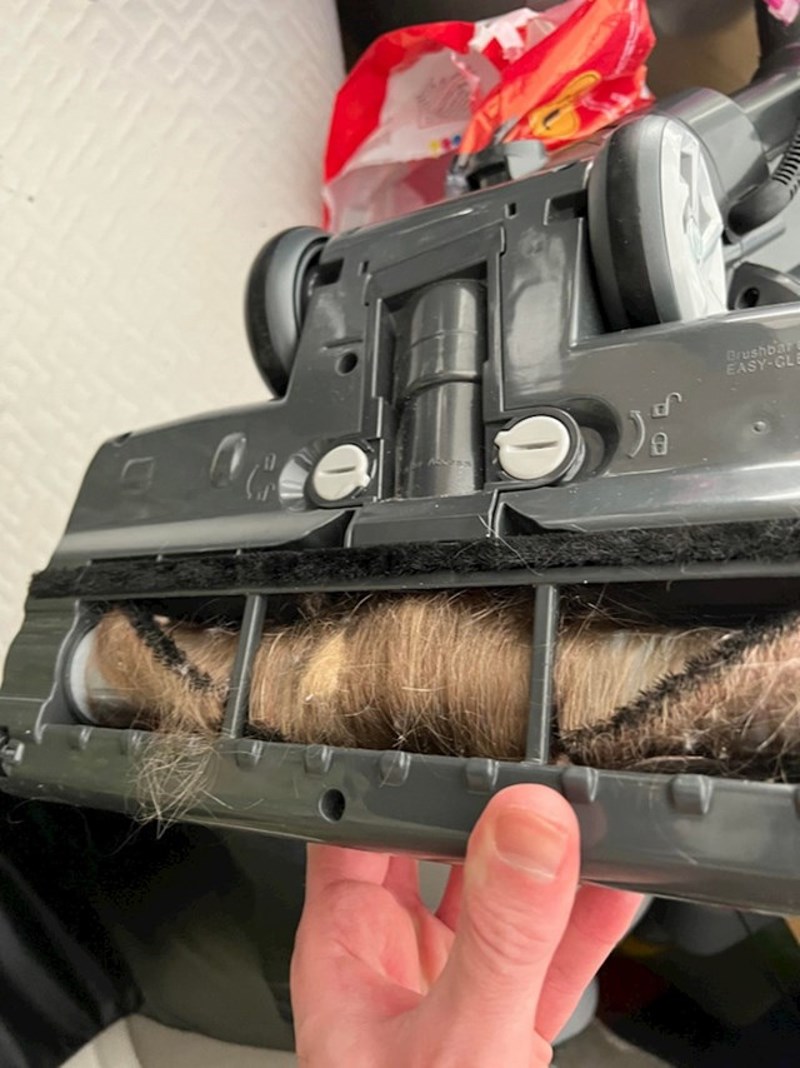 "Neki ljudi (moja sestra) očito ne znaju da bi i dijelove usisivača ponekad trebalo počistiti. Ovo je odvratno!"