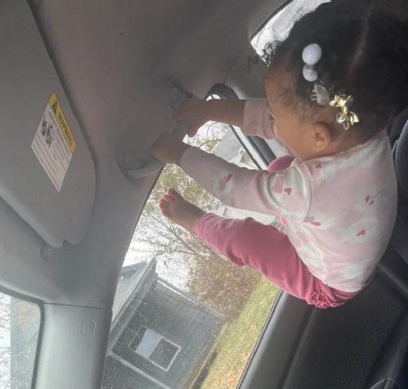 10. Odgajam li dijete ili mladunče majmuna?