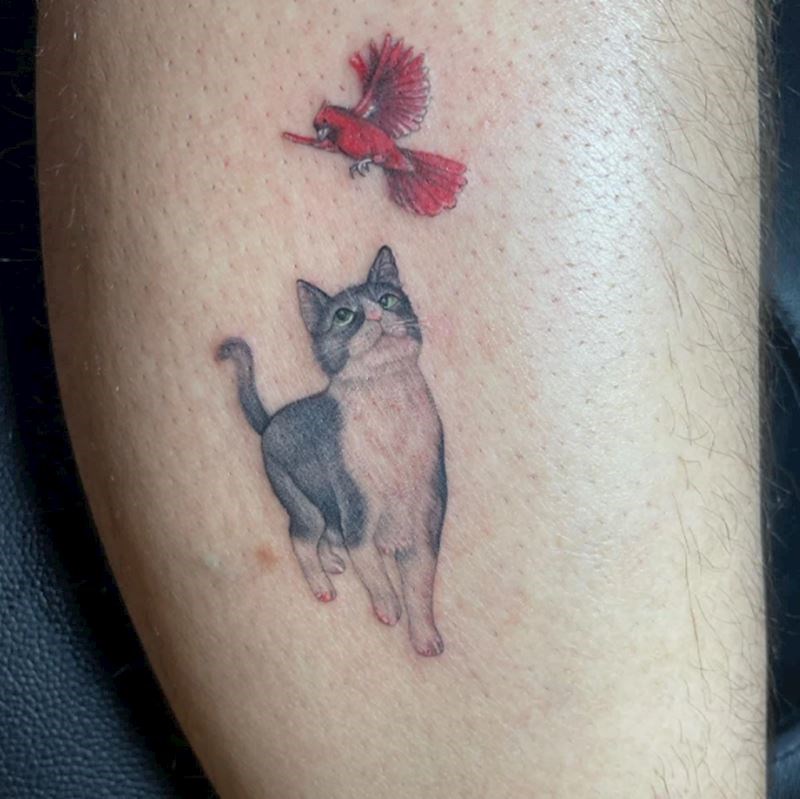 "Uspomena na najdražeg mačka Kovua."