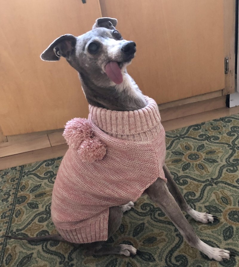 11. Svoj i poseban 😃