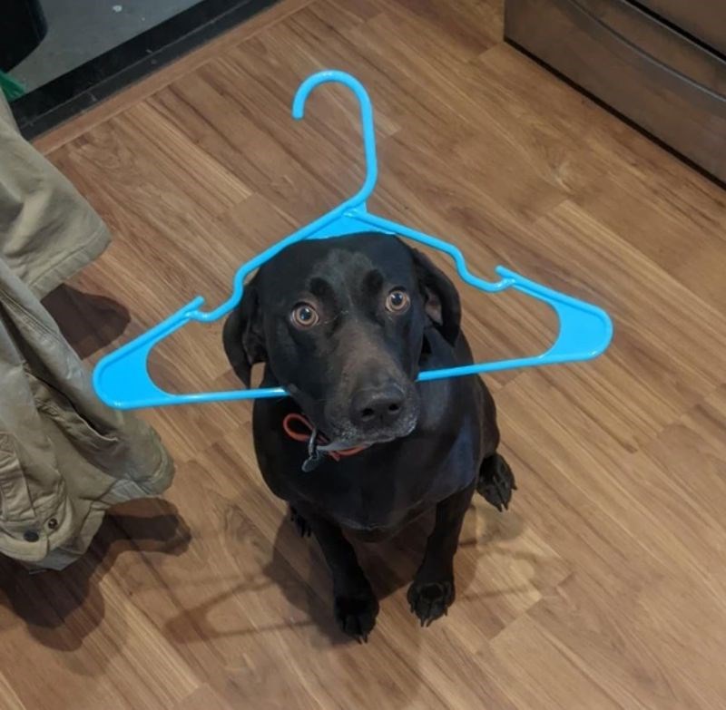 Netko je gledao što se sve krije u ormaru...