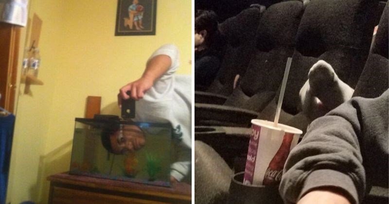 10+ fotografija zbog kojih ćete se zapitati što nije u redu s ljudima