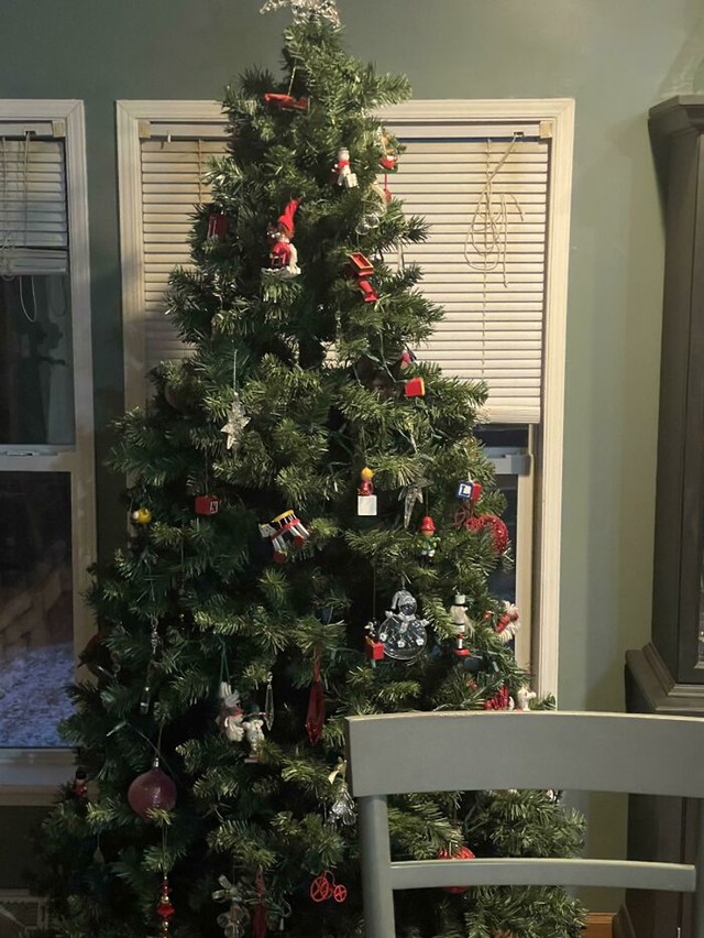 Svi znamo da mačke vole bor, a u ovom se jedna nestašna maca sakrila.