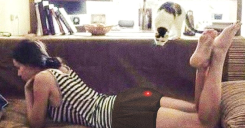 10+ fotografija snimljenih trenutak prije katastrofe, neke će vas nasmijati