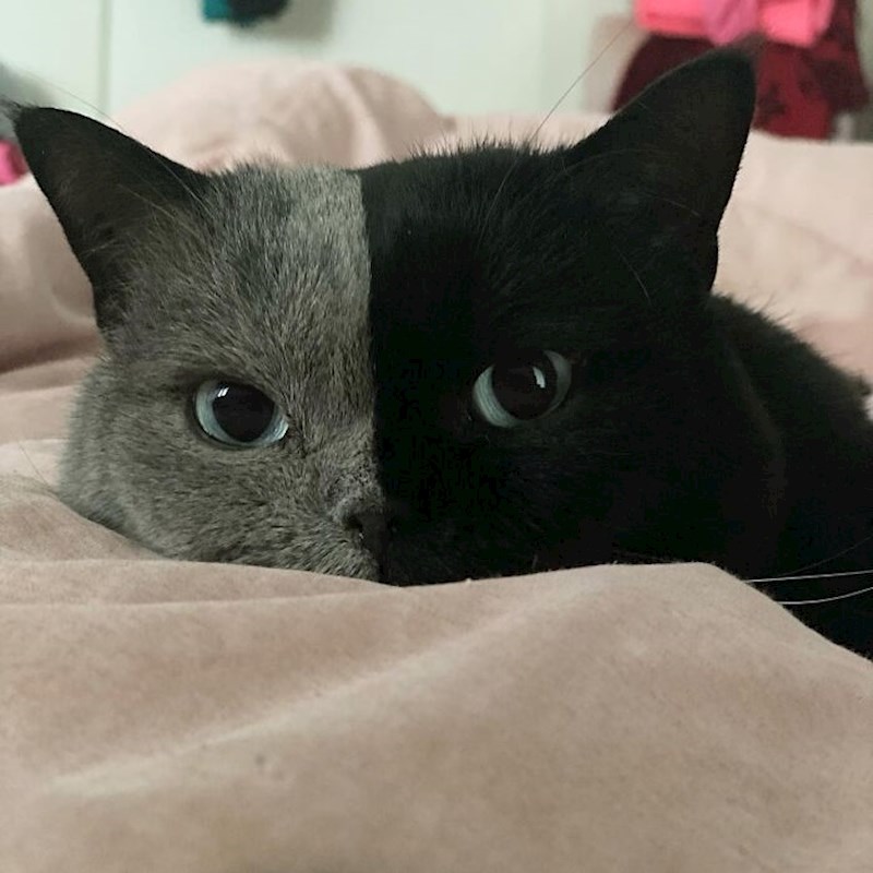 7. Savršenstvo 😍😍