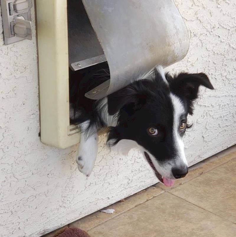 "Rekla sam mu da ostane unutra i okrenula sam se pa ugledala ovaj prizor"