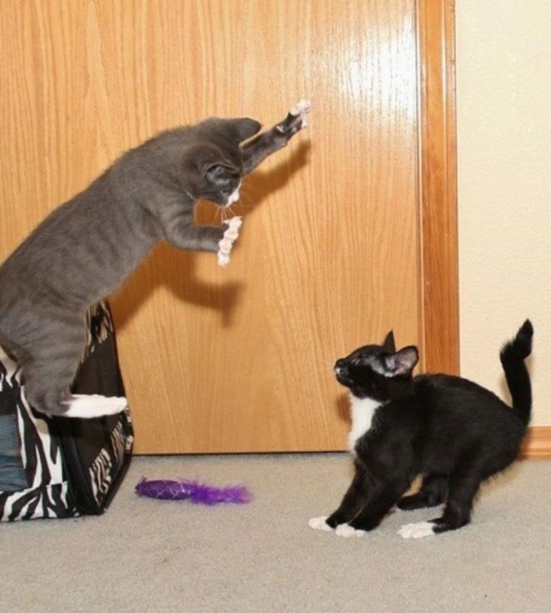 11. "Slikala sam ovo u pravom trenutku."