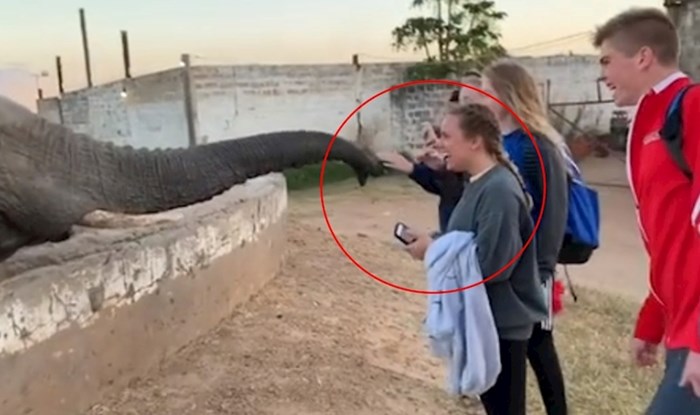 Ljudi snimali susret sa slonom i uhvatili filmsku scenu. Nećete vjerovati što se dogodilo ovoj curi