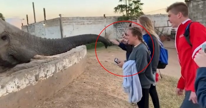 Ljudi snimali susret sa slonom i uhvatili filmsku scenu. Nećete vjerovati što se dogodilo ovoj curi