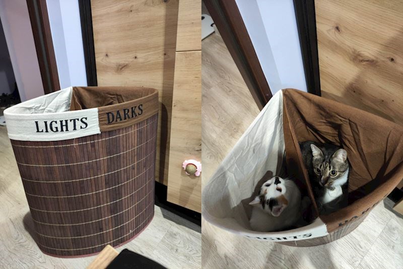 8. "Kad ih ne mogu pronaći, često ih nađem kako spavaju u košari za prljavo rublje"