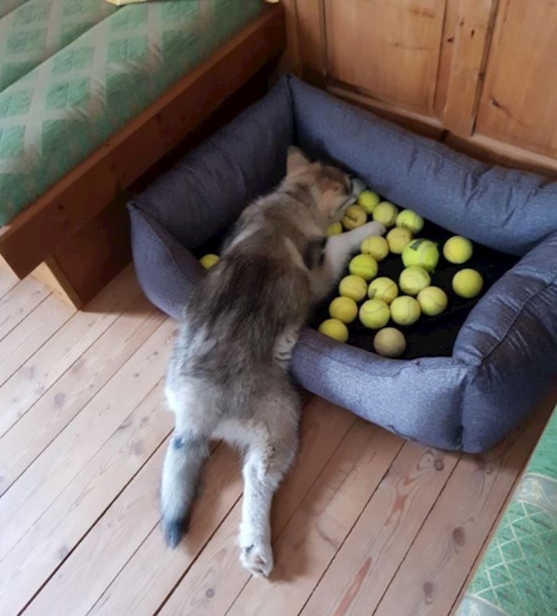 "Mora spavati s baš svim lopticama."