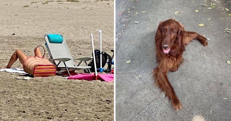 18 prizora koji će na prvi pogled zavarati i one najoštroumnije među nama