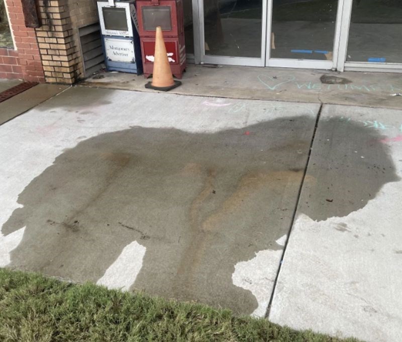 "Sasvim slučajno sam skužio da otisak izgleda kao lav..."