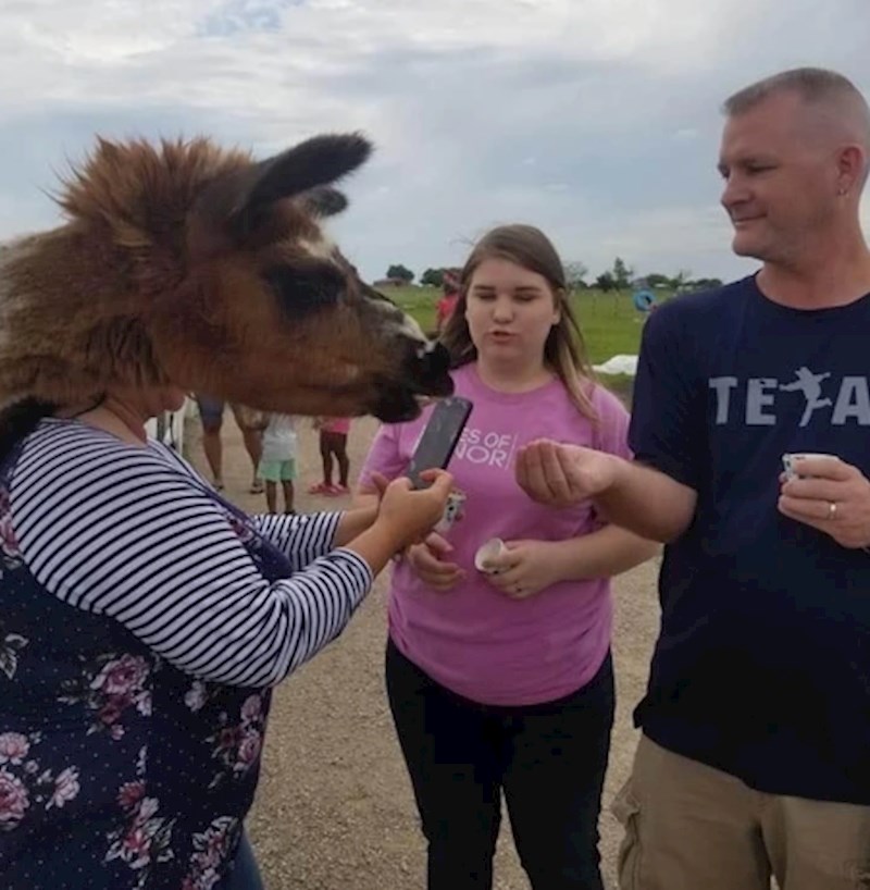 7. "Taman se pojavila na ekranu u pravom trenutku"