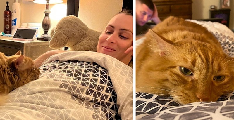 5. "Moj mačak se ne odvaja od mene otkad je shvatio da sam trudna. Stalno se želi maziti uz trbuh i ležati pokraj mene"