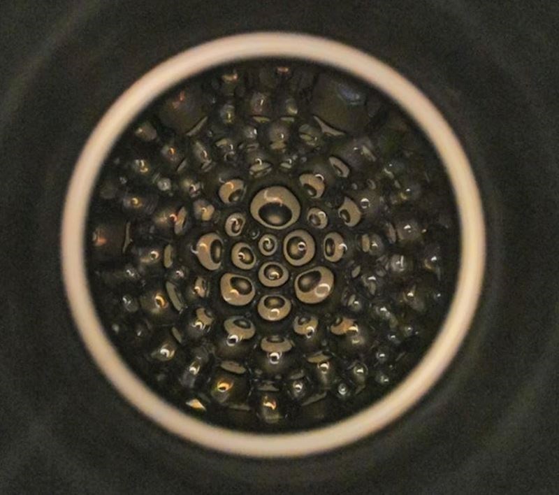 7. Izgleda kao čudovište s mnogo očiju