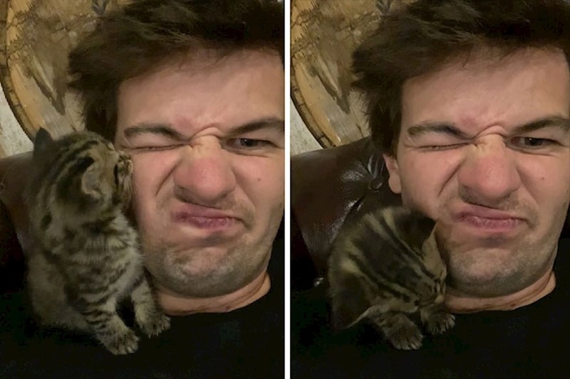 17. "Danas sam ovu slatkicu pronašao na poslu. Čini se da me odabrala"