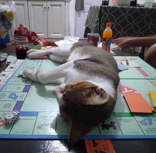 "Nije mu se svidjelo što smo igrali Monopoly pa je odlučio intervenirati"