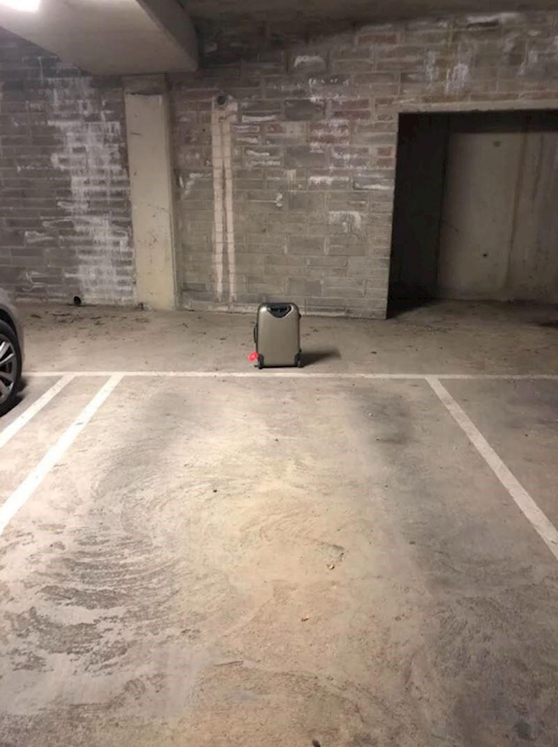 "Moji susjedi su otišli na putovanje, ali se čini da su zaboravili nešto vrlo važno..."