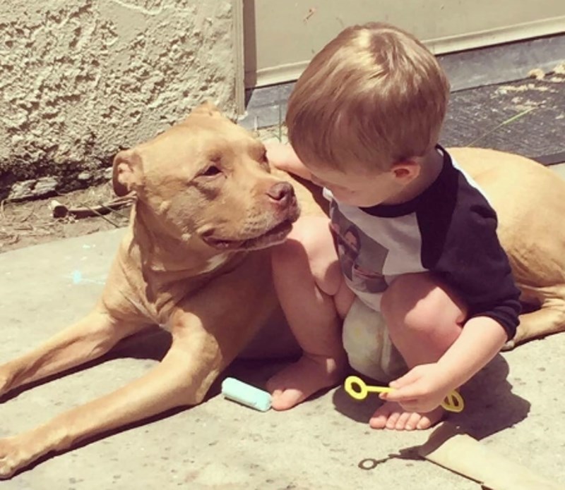 "Jednostavno se razumiju."