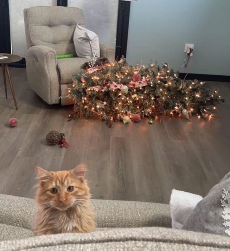 Nema pojma kako se ovo dogodilo 🤣