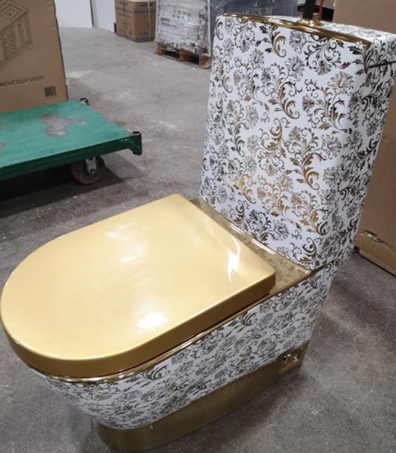 7. Vjerovali ili ne, cijena ove wc školjke je 500 dolara...