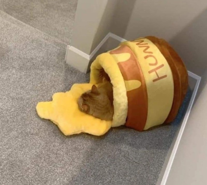 3. Krevet za životinje u obliku vrča za med. Preslatko!