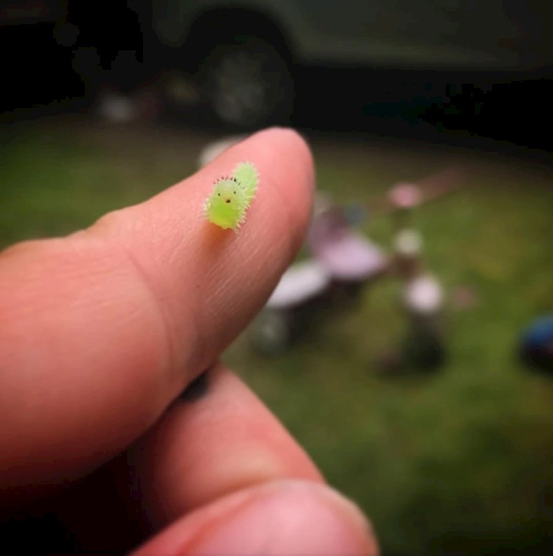 5. "Najslađi neplanirani susret."