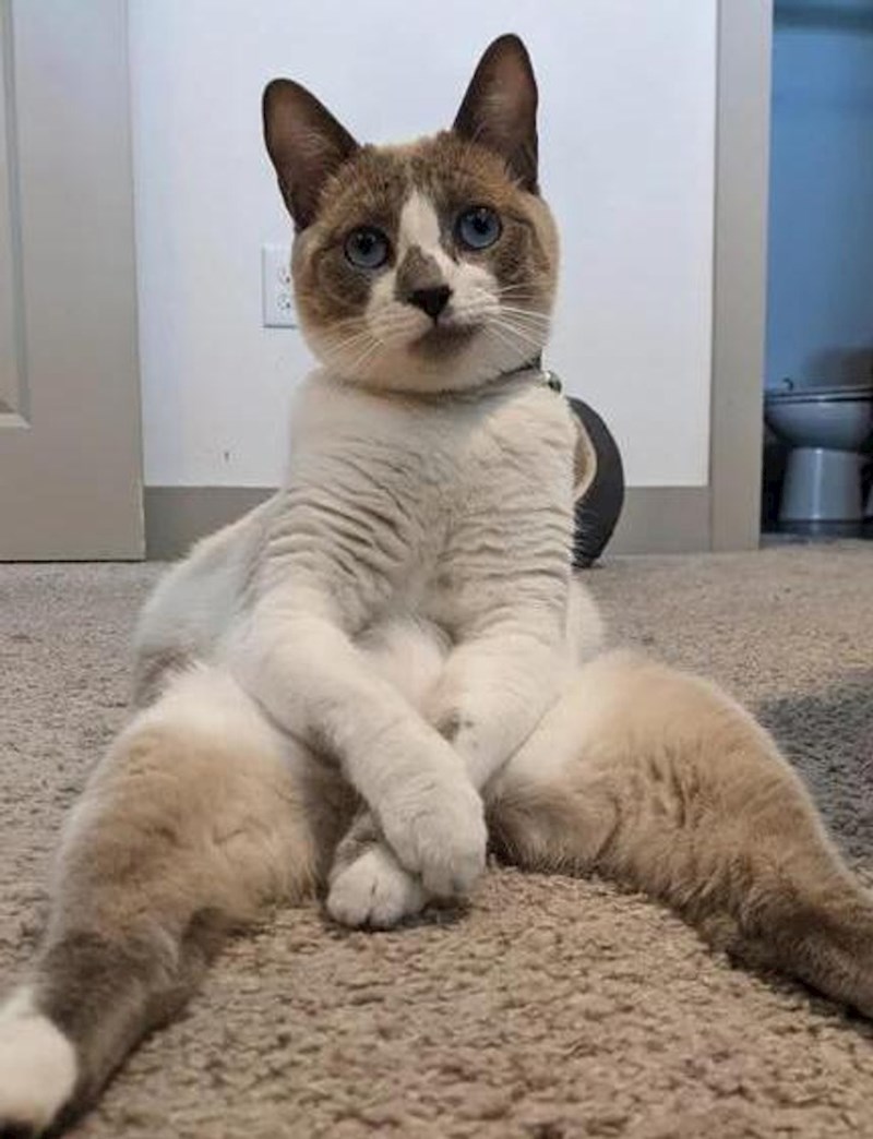 11. Sjedenje u još čudnijim pozama je obveza!